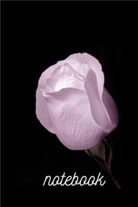 Beautiful Rose black note book