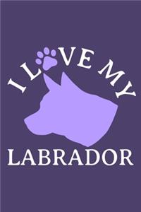 I Love My Labrador