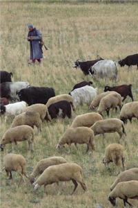 Herding Sheep in Bulgaria Journal