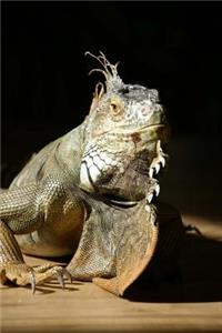 Iguana Notebook