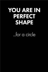 You Are in Perfect Shape... Sarcastic Quote Daily Journal - Funny Gift