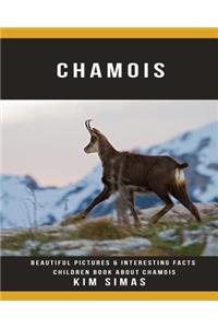 Chamois: Beautiful Pictures & Interesting Facts Children Book about Chamois