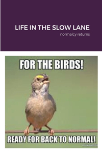 Life in the Slow Lane