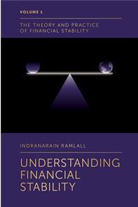Understanding Financial Stability