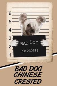 Chinese Crested