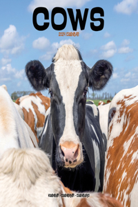 Cows Calendar 2024  Square Farm Animal Wall Calendar - 16 Month