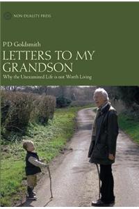 Letters to My Grandson