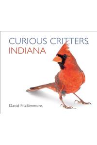 Curious Critters Indiana