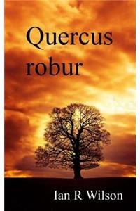 Quercus robur