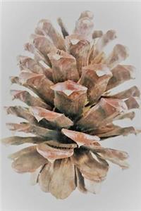 Pine Cone Notebook