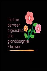 The Love Between a Grandma and Gradddaughter is Forever