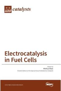 Electrocatalysis in Fuel Cells