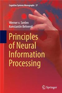 Principles of Neural Information Processing