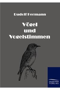 Vögel und Vogelstimmen