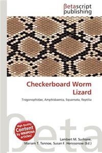 Checkerboard Worm Lizard