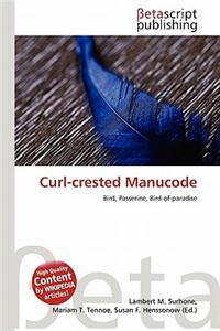 Curl-Crested Manucode