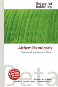 Alchemilla Vulgaris