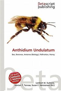 Anthidium Undulatum