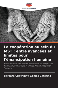 coopération au sein du MST