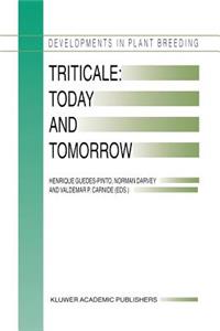 Triticale: Today and Tomorrow