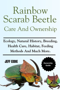 Rainbow Scarab Beetle Care and Ownership