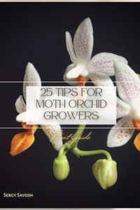 25 Tips for Moth Orchid Growers