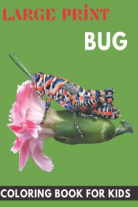 large print Bug coloring book for kids