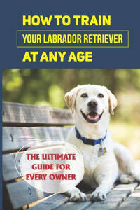 How To Train Your Labrador Retriever At Any Age