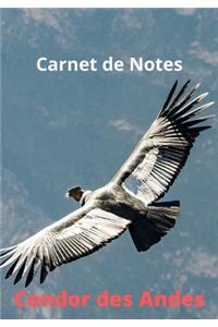 Carnet de Notes Condor des Andes