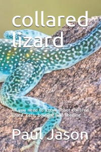 collared lizard