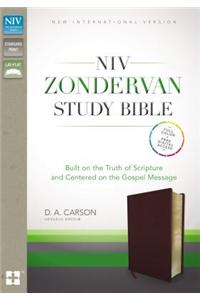 Study Bible-NIV