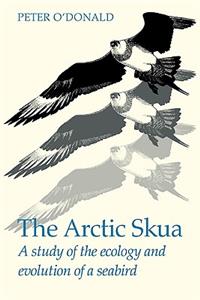 Arctic Skua