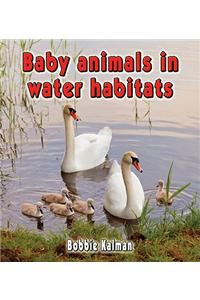 Baby Animals in Water Habitats