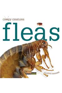 Fleas