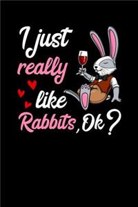 I Just Really Like Rabbits, Ok?