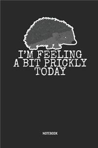 I'm Feeling a Bit Prickly Today Notebook