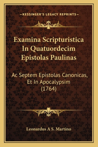 Examina Scripturistica In Quatuordecim Epistolas Paulinas