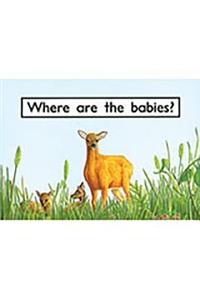 Where Are the Babies?