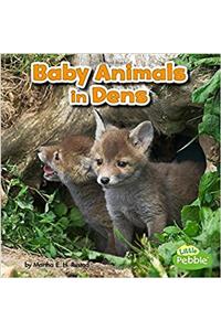 Baby Animals in Dens