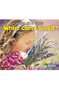 What Can I Smell?