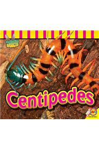 Centipedes