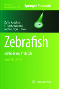 Zebrafish