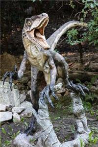 The Velociraptor Dinosaur Journal