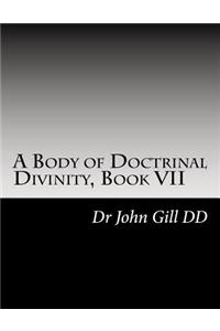 A Body of Doctrinal Divinity, Book VII