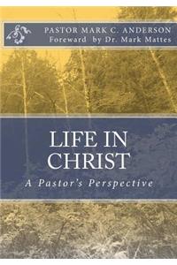 Life in Christ: A Pastor's Perspective