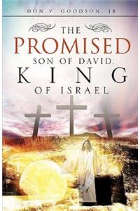 The Promised Son of David, King of Israel