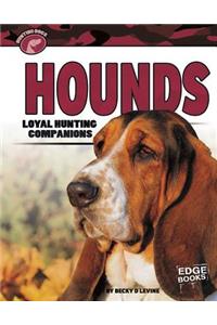 Hunting Dogs Hounds Loyal Hunting Companions