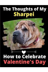 Thoughts of My Sharpei