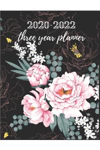 2020-2022 Three Year Planner