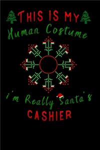 this is my human costume im really santa's cashier